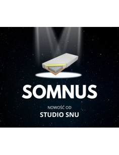 Materac Kieszeniowy Somnus Studio Snu 2